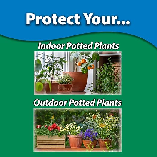 Monterey Houseplant Disease Control RTU, Organic Indoor & Outdoor Plant Spray, Controls Fungal & Bacterial Diseases, Bundled with Garden Measure Spoon - 16 fl oz