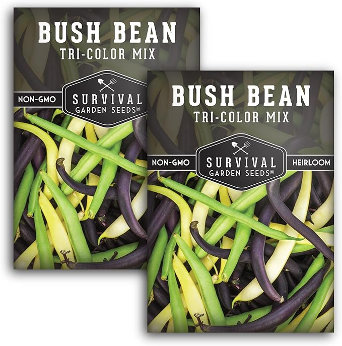 Tri Color Blend Bush Bean Seeds for Planting - Mix of Green, Yellow Wax, & Purple Beans with Stringless Pods - 3 Non-GMO Heirloom High Yield Varieties - Survival Garden Seeds (2 Packs)