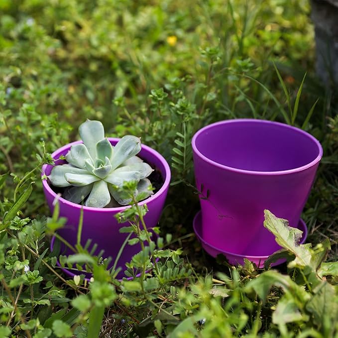 TDHDIKE 10 Pcs Plastic Planters Indoor Flower Plant Pots, Mini Flower Seedlings Nursery Pot/Planter/Flower Pot with Pallet, Modern Decorative Gardening Containers (5color 25)