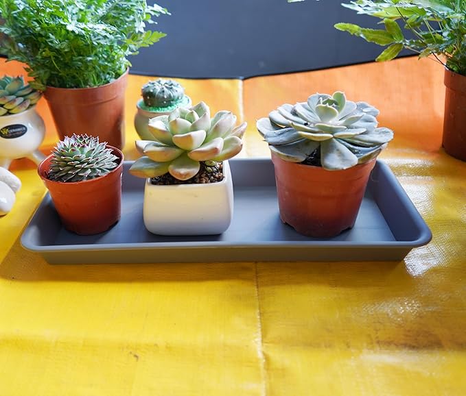 VUWEZ 2 Pack of Plastic Plant Tray Saucer Rectangular 24 inch, Plant Trays Saucers for Indoors Outdoor, Plant Water Drip Tray for Flower Pot Planter, Windowsill Plant Tray (8 X 24'', Gray)