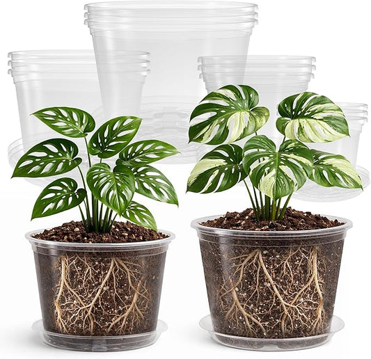 Bluepro 12 Pack 10/8/6/5 Inch Reinforced Large Clear Nursery Pots with Saucers, Transparent Variety Pack Plastic Plant Pot with Drainage Holes for Vegetable Propagation, Root Cutting, Seed Starting