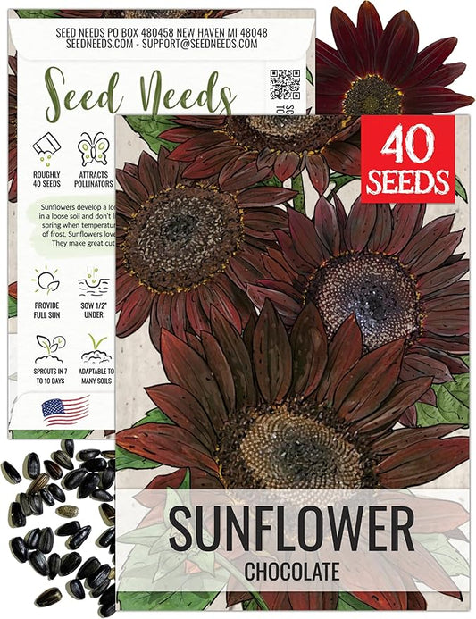 Seed Needs Chocolate Sunflower Seeds for Planting Dark Maroon Sunflowers - Heirloom & Open Pollinated Flower Seed to Plant & Grow an Outdoor Wildflower Butterfly Garden (1 Pack)