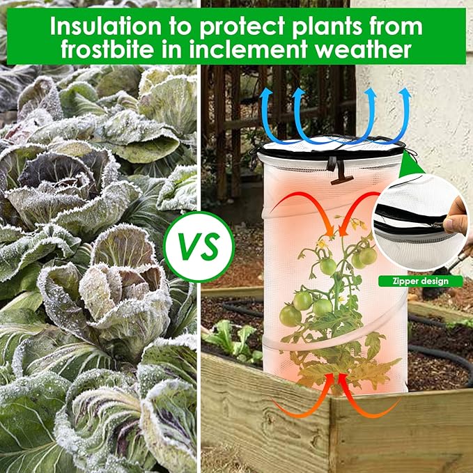 2 Pack Pop Up Mini Greenhouse for Raised Garden Bed Portable PVC Spring-Up Popup Greenhouse Plant Protector and Frost Cover for Young Tomato Plants & Other Plant Seedlings for Frost Rain Proof (black)
