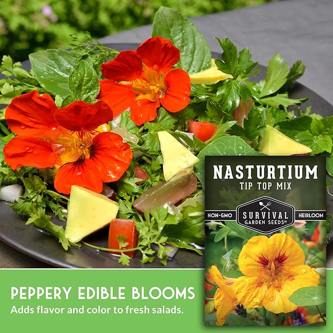 Nasturtium Seeds for Planting Outdoors – Tip Top Mix Heirloom Variety of Edible Flowers & Companion Plants, Non-GMO Seeds for Home Gardens - Survival Garden Seeds (3 Packs)