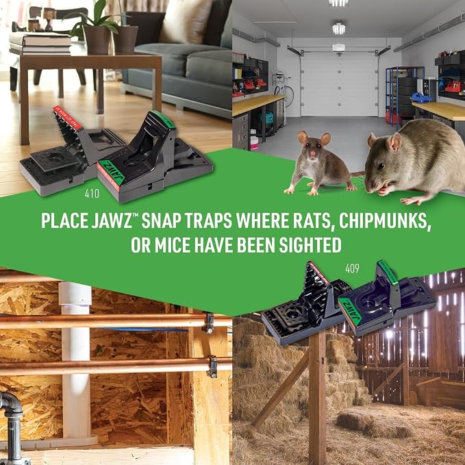 JT Eaton Jawz Depot Covered Mouse Trap
