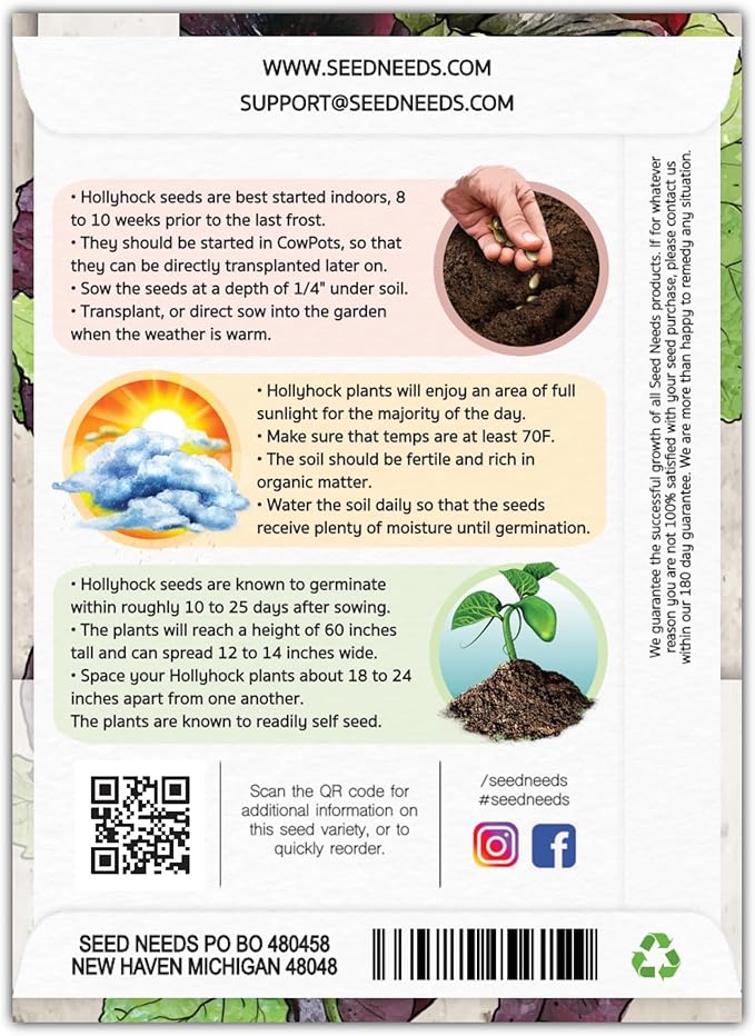 Seed Needs, Black Hollyhock Seeds - 100 Heirloom Seeds for Planting Alcea rosea - Great for Gothic Gardens, Open Pollinated Biennial that Attracts Pollinators (5 Packs)