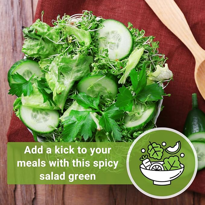 Sow Right Seeds - Garden Cress Seeds for Planting - Non-GMO Heirloom Packet with Instructions to Plant and Grow a Kitchen Herb Garden - Indoors or Outdoors - Edible Leaves and Cute Filler (1)