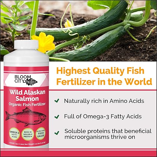Organic Wild Fish Fertilizer and Plant Supplement, Great for Roots and Soil, Made from Sustainable Salmon, by Bloom City, Quart (32 oz)