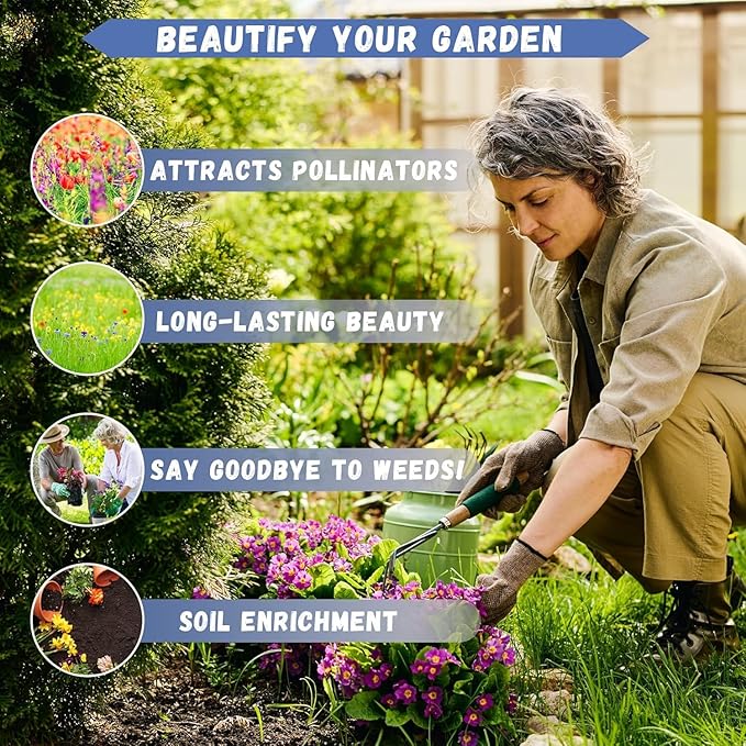 21500+ Creeping Thyme Flower Seeds for Planting Outdoor-Non-GMO Heirloom Magic Carpet Ground Cover Plants Thymus Serpyllum Plant in Your Home Garden