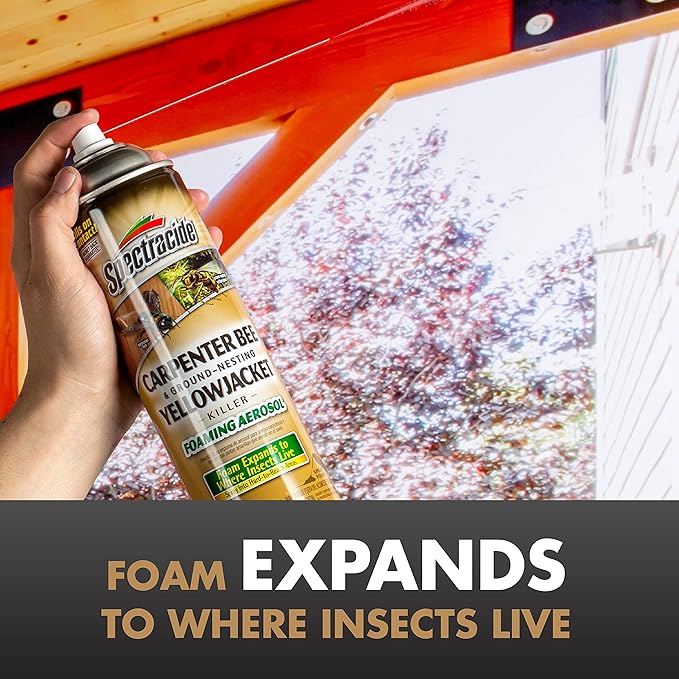 Spectracide Carpenter Bee And Ground-Nesting Yellowjacket Killer Foaming Aerosol 16 Ounces, Expands To Where Insects Live