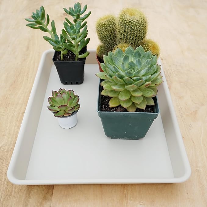 VUWEZ Rectangle Plant Tray, Plant Drip Tray, Plant Pot Saucers, Plant Germination Trays, Plant Saucers, 11'' x 9'' x 1.2'' (2 pack), Beige