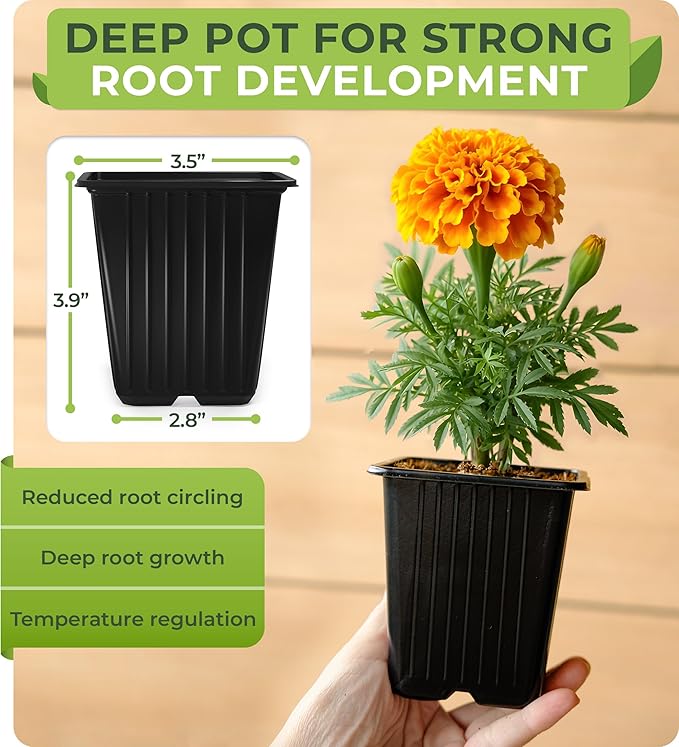 CARPATHEN 60Pack Square Nursery Pots - 1020 Tray Optimized - 3.5 Inch Seedling Plant Pot with Drainage Holes - Reusable Sturdy Seed Starter Pots for Flowers, Vegetables, Greens