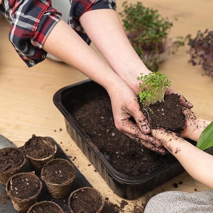 Doter Organic Vegetable Soil Mix 2qt, Indoor Plants Potting Mix for All Potted Vegetable Like Tomatoes Lettuce Bell Peppers, Grow Healthy houseplants Indoors