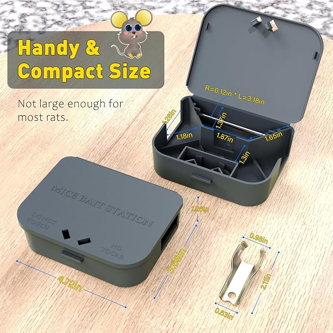 Small & Large Box