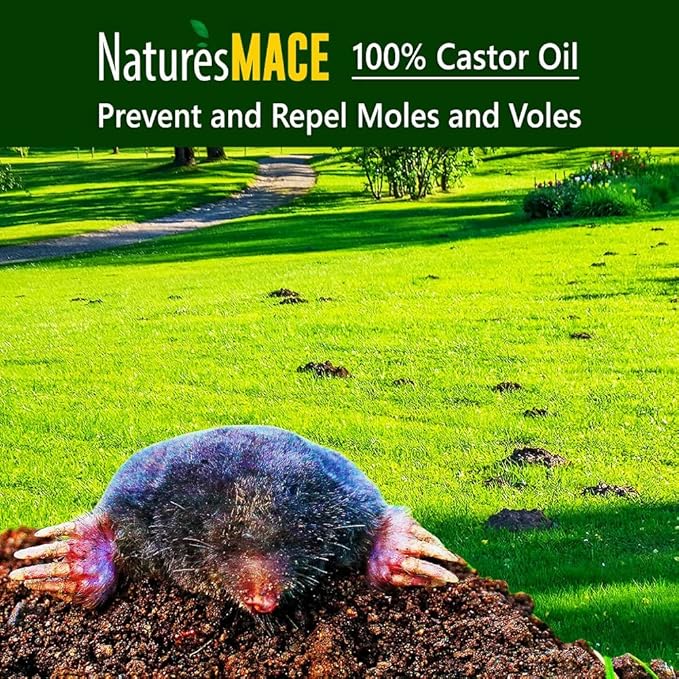 Nature's MACE Mole and Vole Mace, 5 Gallon, 100% Pure Castor Oil, Mole Deterrent for Yard, Lawns, Mole Repellent, Stop Tunneling, Mole Remover Treatment, Castor Oil Repellent, People, Pet, Plant Safe