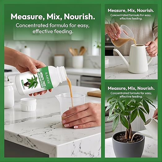 10 oz Organic Money Tree Fertilizer Liquid - Microbial Probiotic Plant Food for Pachira Aquatica & Houseplants - Promotes Root Growth & Green Leaves