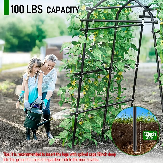 SPECILITE Garden Arch Trellis 86 in Extra Tall for Climbing Plants Outdoor, Steel Stainless Arched Arbors Tunnel Trellis with Netting, Includes Sure Clips, Cable Ties for Cucumber Tomato Vines