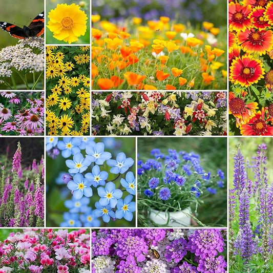 Eden Brothers Deer Resistant Wildflower Mixed Seeds for Planting, 10 lb, 4,800,000+ Seeds with Foxglove, Forget Me Not | Attracts Pollinators, Plant in Spring or Fall, Zones 3, 4, 5, 6, 7, 8, 9, 10
