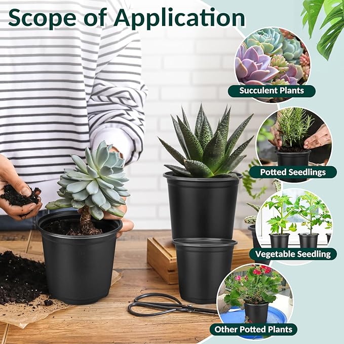 80 Pcs Small Plastic Palnt Pot, 3 Inch Nursery Pots with Drainage, Seedlings Starter Pots for Plants, Great for Herbs, Cuttings, and Starter Plants (80 pcs，3 inch)