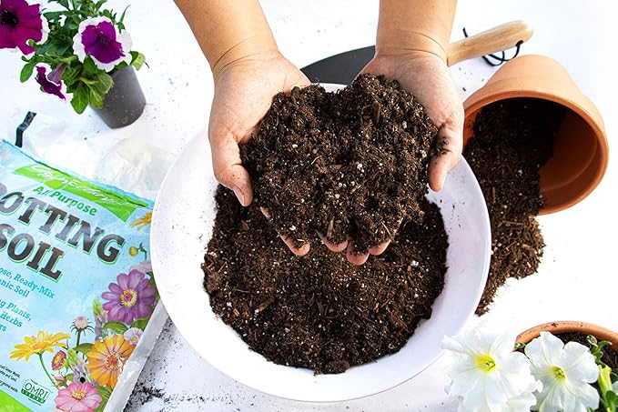Generic Organic Potting Soil Mix - All Purpose Ready-to-Use Garden Soil for Indoor-Outdoor Plants, Vegetables, Herbs & Flowers - Enriched with Nutrients, Eco-Friendly (8 qt. (2 Pack)), Brown