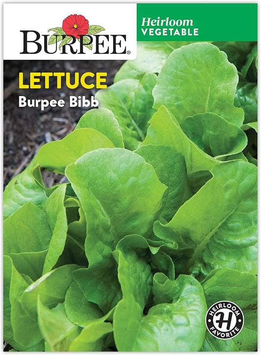 Burpee Bibb' Lettuce Seed Packet - 1.5gm Non-GMO Seeds for Planting Vegetables - Heirloom Bibb Lettuce, Classic Variety, Vegetable Seeds for Home Garden Outdoor Planting (Lettuce, Burpee Bibb)