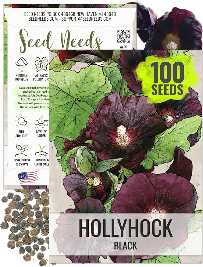 Seed Needs, Black Hollyhock Seeds - 100 Heirloom Seeds for Planting Alcea rosea - Great for Gothic Gardens, Open Pollinated Biennial that Attracts Pollinators (1 Pack)