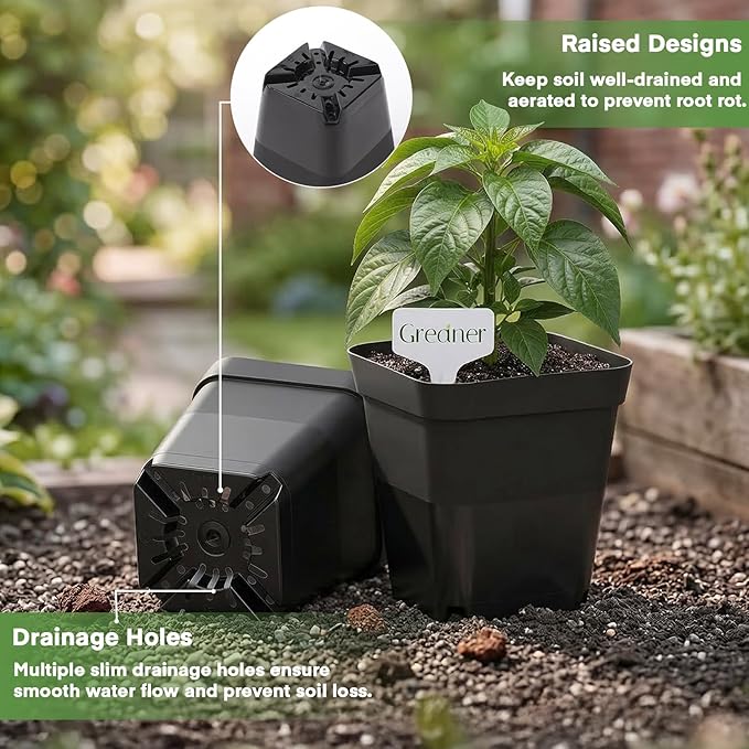 GREANER Small Plant Pots 4 Inch, 50PCS Black Nursery Pots for Plants with 20 Packs Labels, Durable Square Planters for Indoors and Outdoors Use