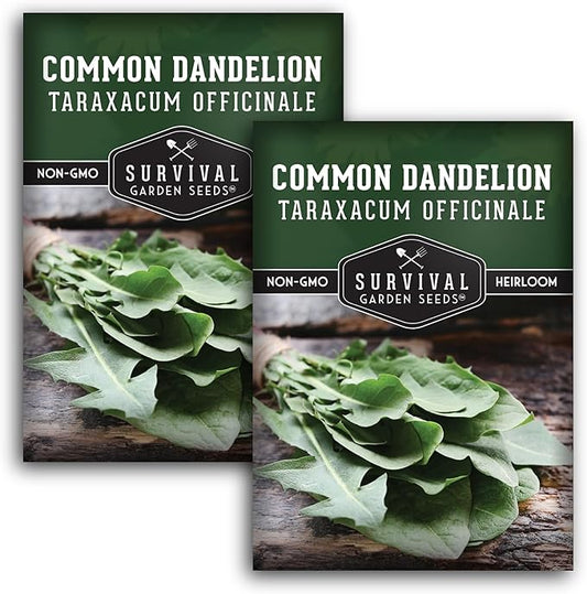 Survival Garden Seeds Common Dandelion Seed - 2 Packets with Instructions to Plant & Grow Nutritious Medicinal Plants & Leafy Greens in Your Home Herb or Vegetable Garden - Non-GMO Heirloom Variety