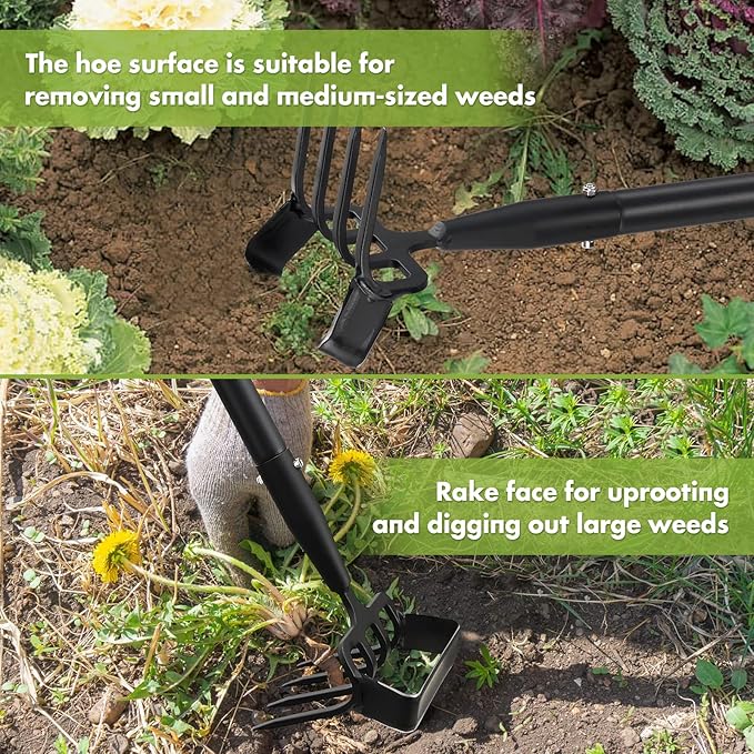 Garden Hoe, 4 Tines Hand Weeding Hoe Garden Tool and Cultivator Long Handle 62", Action Stirrup Scuffle Field Digging Hoe Heavy Duty for Lawn Gardening Weed