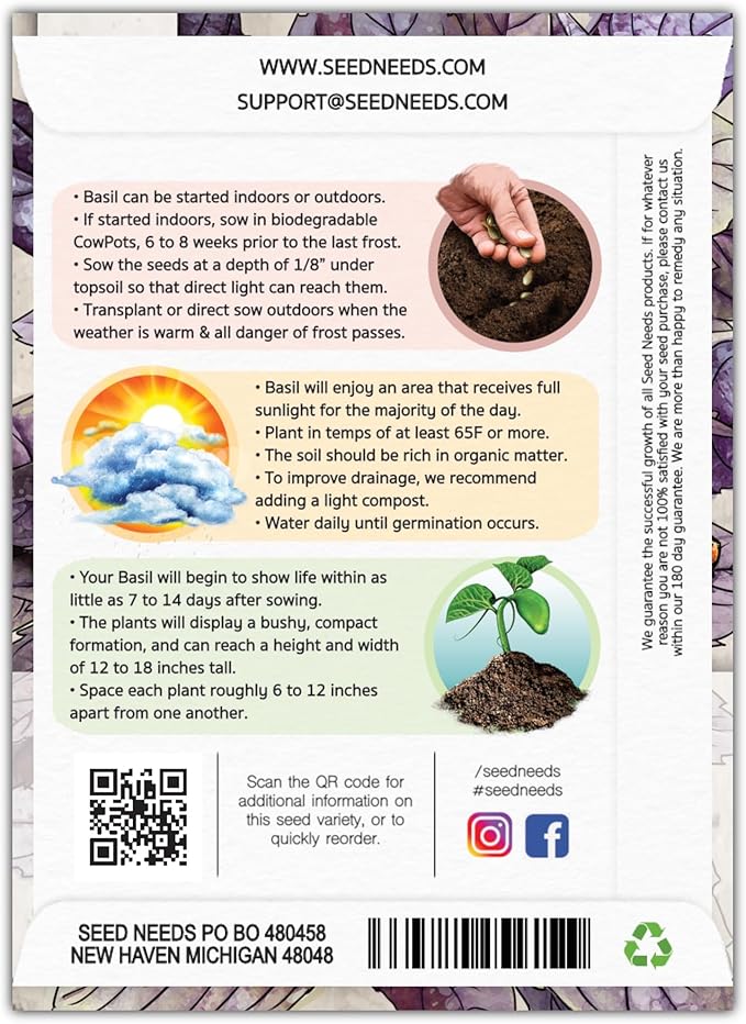 Seed Needs Opal Basil Seeds for Planting Red Basil Plants - Non-GMO Heirloom & Untreated Herb Seeds to Plant an Indoor or Outdoor Culinary Kitchen Garden (5 Packs)