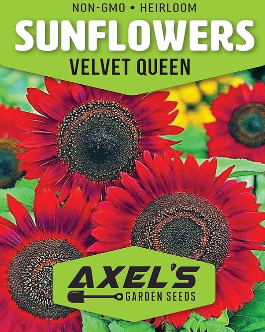 Seed Packets for Planting Red Sunflowers in Home Outdoor Garden - Heirloom Non-GMO Flower Seed Packets
