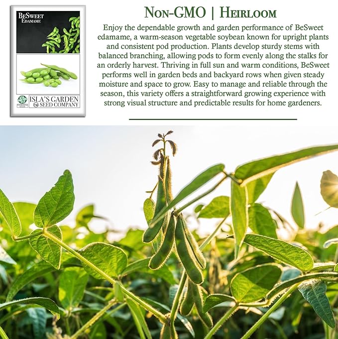 BeSweet Edamame Seeds for Planting (Vegetable Soybean, Glycine max) – 25+ Non GMO & Heirloom Seeds by Isla’s Garden Seeds, Sweet Tender Pods, Easy Home Growing, Garden Gift Idea