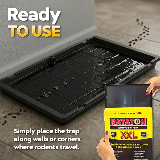 Glue trap for rats and mice, for extra large animals, without poison, non-toxic, you can release the animal just apply cooking oil. Easy to use indoor and outdoor use, Safe for people and pets