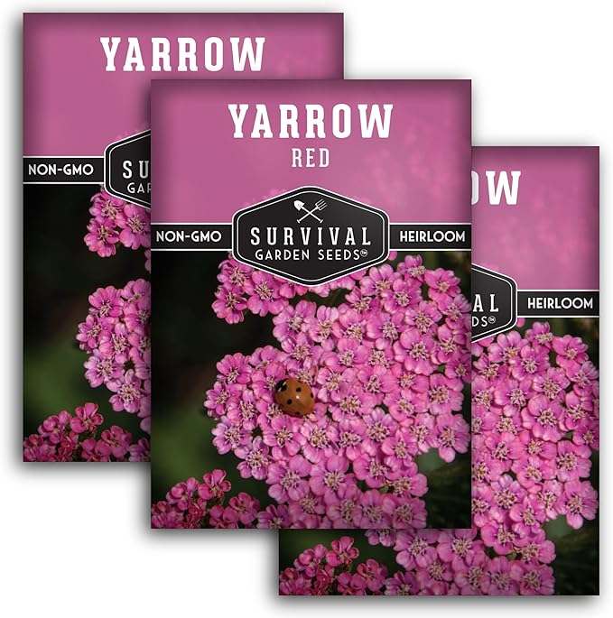 Red or Pink Yarrow Seeds for Planting – Heirloom Medicinal Herb & Perennial Flower Seeds, Pollinator Friendly Blooms for Cottage & Wildflower Gardens - Survival Garden Seeds (3 Packs)