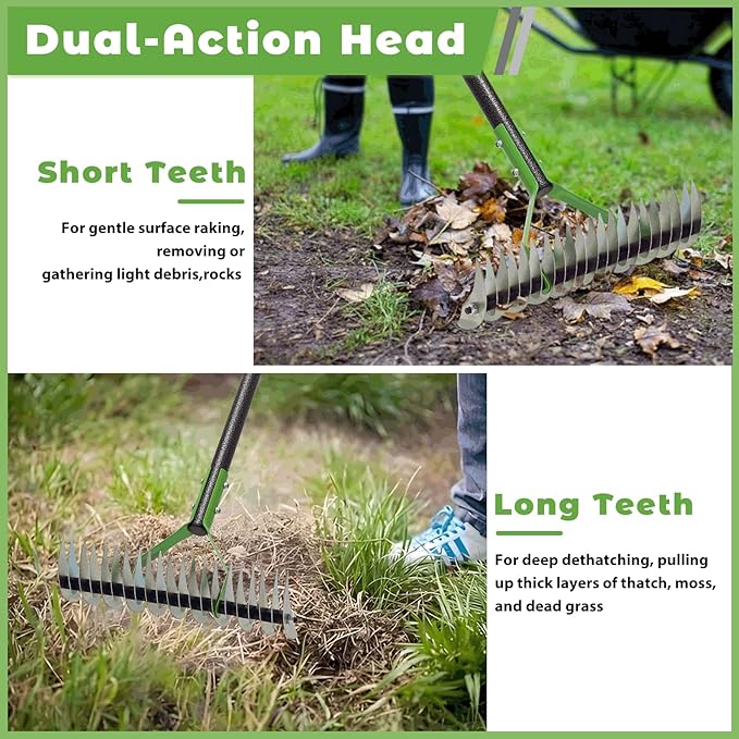 Thatch Rake, 51" Lawn Thatching Rake for Cleaning Dead Grass, 13 Inch Wide Heavy Duty 21 Teeth Steel Metal Rakes, Landscaping Raking Garden Tools for Lawn Care Loosening Leveling Soil Mulch