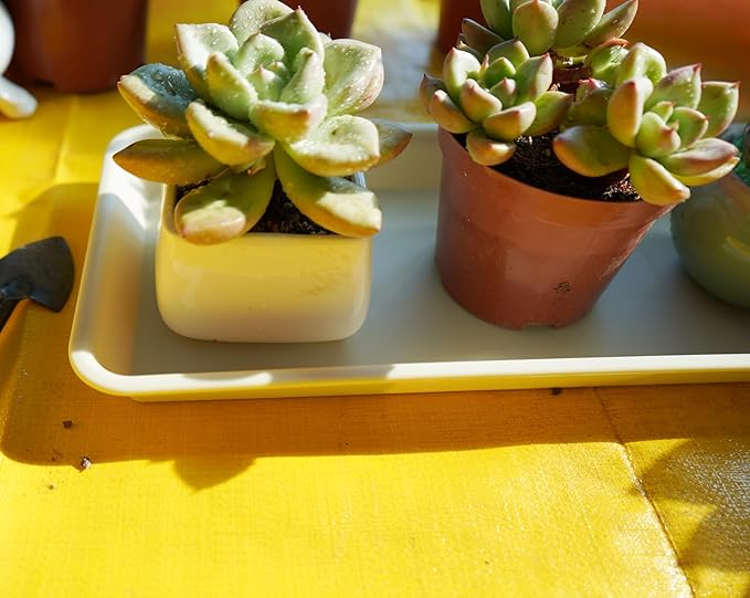 VUWEZ 6 Pack Plastic Plant Trays, Rectangular, Indoor/Outdoor, Drip Trays for Flower Pots, Windowsill (6 x 11 Inch, Beige)