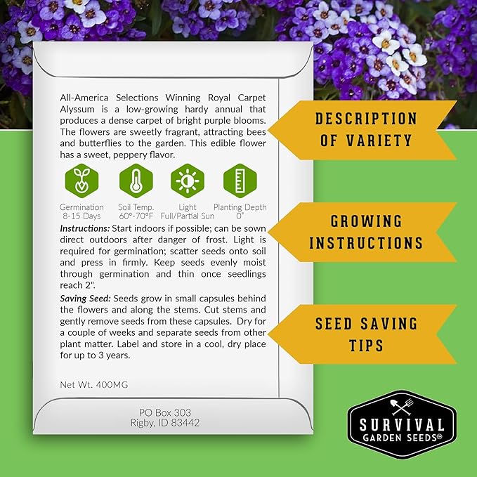 Alyssum Seeds for Planting - Sweet Royal Carpet Purple Alyssum - Fragrant Perennial Flower & Ground Cover - Heirloom Non-GMO - Survival Garden Seeds (3 Packs)