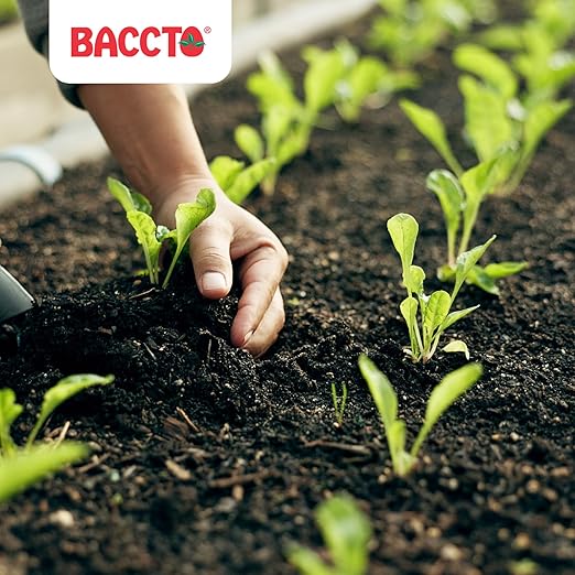 Michigan Peat Baccto Wholly Cow Horticultural Compost and Manure for Soil Amendment, Lawn Care, Vegetable Garden Beds, and More, 40 Quart Bag