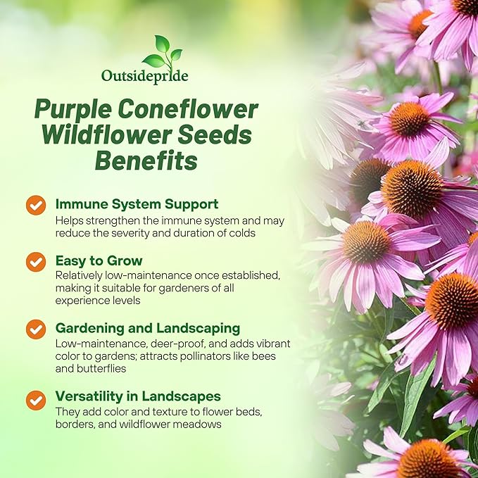 Outsidepride Purple Echinacea Coneflower Seeds - 5 lbs Perennial, Deer-Proof & Drought Tolerant Flower Seeds with Daisy-Like Blooms for Pollinator-Friendly Gardens, Borders, & Meadows