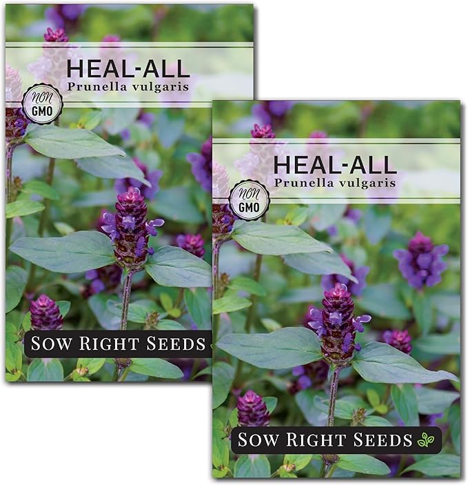 Sow Right Seeds - Heal-All Seeds for Planting - Self Heal Prunella Vulgaris - Non-GMO Heirloom Medicinal Herb - Grow Your Own Wildflower Garden - Attracts Pollinators - Easy to Grow in Gardens (2)