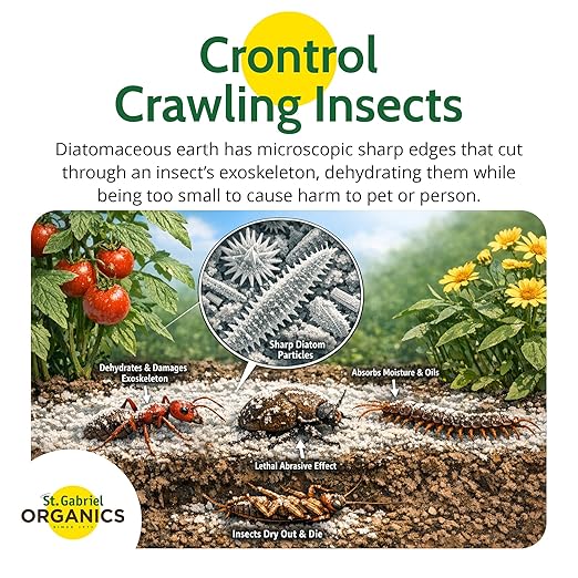 St. Gabriel Organics Insect Dust Diatomaceous Earth, 4lbs - Safe and Natural Insect Control