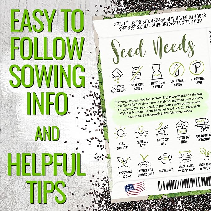 Seed Needs Catnip Seeds for Planting Nepeta cataria - Non-GMO Heirloom & Untreated Herb Seed to Plant & Grow an Outdoor Home Grown Garden (1 Pack)