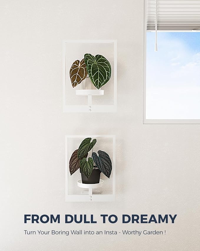 Bamworld Wall Plant Holder Plant Stand Indoor Wall Planters White | Wall Planters for Indoor Plants Window Plant Shelves Plant Holder Wall Decor, Room Decor 2 Pack (Patent Design)