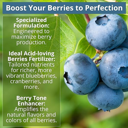 GARDENWISE 8-4-8 Acidic Fertilizer for Azaleas, Camellias (Camelia), Hydrangeas, Blueberries, Gardenias, Magnolia Trees, Evergreens, and Rhododendrons - Ideal Iron-Rich Plant Food (2 QUARTS)