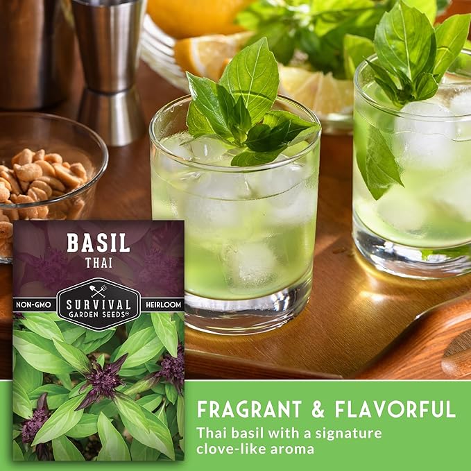 Thai Basil Seeds for Planting – Sweet Thai Basil with Anise Flavor for Asian Cooking – Heirloom Non-GMO Herb Seed for Indoor or Outdoor Gardens – Survival Garden Seeds (3 Pack)