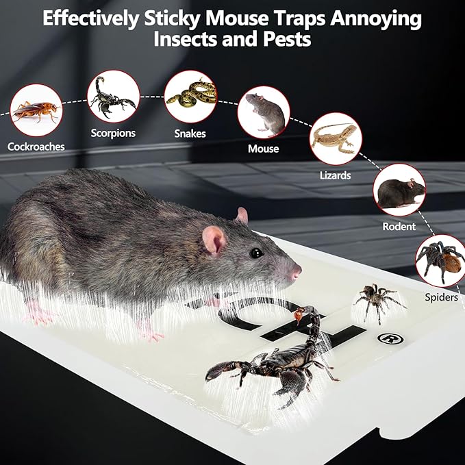 38 Pack Mouse Glue Trap,Mouse Traps Indoor for Home,Adhesive Bugs Roach Spider Insect Traps,Sticky Mouse Traps,Bulk Glue Traps for Mice
