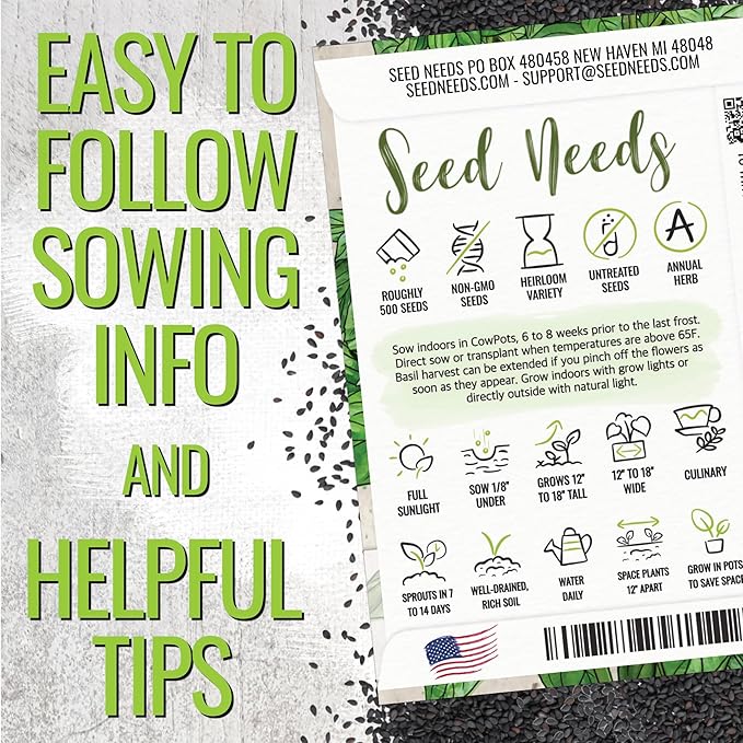 Seed Needs Lemon Basil/Lime Basil Seeds for Planting Fresh Kitchen Herbs - Non-GMO Heirloom & Untreated Annual Herb Seed to Plant a Culinary Garden Indoors or Outdoors (2 Pack Duo)