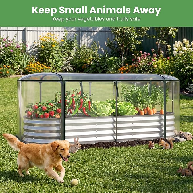 Giantex Raised Garden Bed w/Greenhouse Cover, Outdoor Oval Metal Steel Planter Box w/Roll-up Window, Clear PVC Mini Greenhouse for Vegetables Flowers Herbs Outdoor Patio Gardening, 6x2x1 FT (Silver)