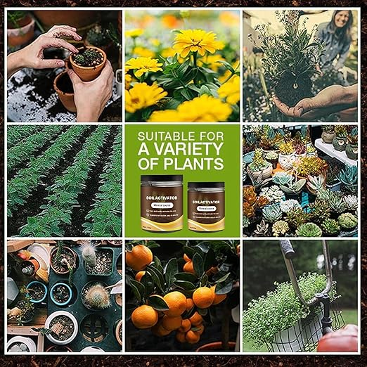 Soil Activator Organic Water-Soluble Soil Improvement Loosening Agent - Boost Root Development & Plant Growth for Vegetables, Flowers, Lawns, Gardens & All Indoor/Outdoor Plants 60g (2PCS)