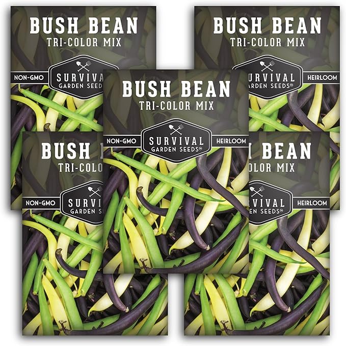 Tri Color Blend Bush Bean Seeds for Planting - Mix of Green, Yellow Wax, & Purple Beans with Stringless Pods - 3 Non-GMO Heirloom High Yield Varieties - Survival Garden Seeds (5 Packs)